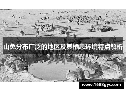 山兔分布广泛的地区及其栖息环境特点解析