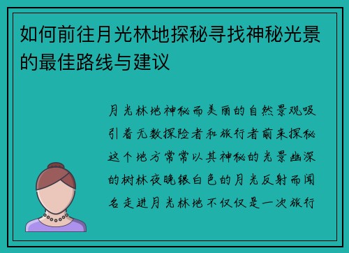 如何前往月光林地探秘寻找神秘光景的最佳路线与建议